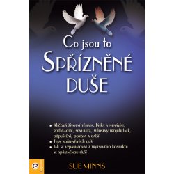 Co jsou to spřízněné duše - Jak pochopit dar výjimečných setkání - Sue Minns