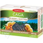 Čaga Reishi Rakytník antioxidant 60 kapslí – Hledejceny.cz