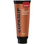Molyslip COPASLIP 100 g | Zboží Auto