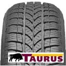 Taurus 601 Winter 195/65 R15 91H