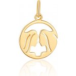 JVD Stříbrný pozlacený přívěsek znamení BLÍŽENCI v kolečku SVLP1080X61GOBL – Hledejceny.cz