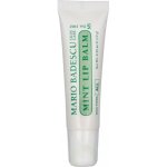 Mario Badescu Mint Lip Balm ultra výživný balzám na rty 10 g – Zboží Dáma