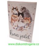 Bohemia Gifts Kočičí příběh sprchový gel 200 ml + šampon na vlasy 200 ml kniha dárková sada – Sleviste.cz