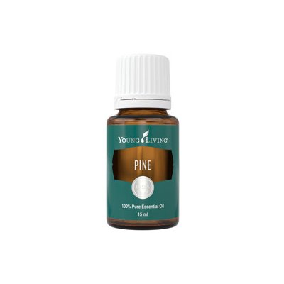 Young Living Borovicový esenciální olej Pine 100% 15 ml – Hledejceny.cz