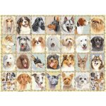 RAVENSBURGER Portréty psů 500 dílků – Zboží Mobilmania