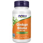 Now Foods Ginkgo Biloba 60 mg 120 kapslí – Hledejceny.cz