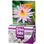 Silva Tabs Ecolab tabletové hnojivo 250 g – Zboží Mobilmania