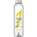 Fructal PROTECT citron citronová tráva 0,5 l – Hledejceny.cz