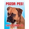 Autovýbava Grel Tabulka pozor pes Boxer