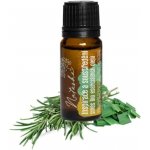 Natasha Inspirace a soustředění směs bio esenciálních olejů 10 ml – Zboží Dáma