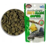 Hikari Mini Algae Wafers 22 G – Zboží Dáma