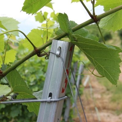 Vinohradnický sloupek pozinkovaný 2200 mm | obdélníkový profil 50 × 30 mm | řadový – Zbozi.Blesk.cz