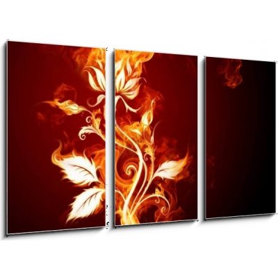 Obraz 3D třídílný - 90 x 50 cm - Fire rose Oheň vzrostl – Zboží Mobilmania