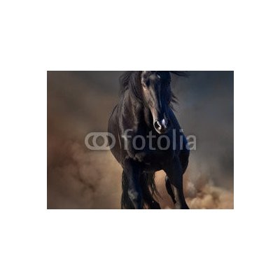 WEBLUX 78859419 Samolepka fólie Beautiful black stallion run in desert dust against sunset sky Krásný černý hřebec běží v pouštním prachu proti západu slunce rozměry 270 x 200 cm – Zboží Mobilmania