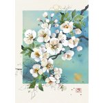 Přání B058 BUG ART – Zboží Dáma