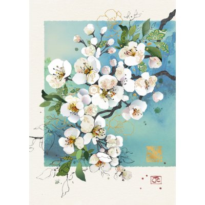 Přání B058 BUG ART – Zboží Dáma