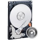 WD Scorpio Blue 320GB, 2,5", SATAII, 5400rpm, WD3200BEVT