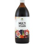 EkoMedica Czech Multivitamín 1000 ml – Hledejceny.cz