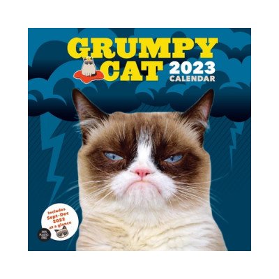Wall Grumpy Cat 2023