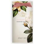 Ashleigh & Burwood Vonný sáček The Scented Home ROSE & VANILLA MUSK 15 g – Hledejceny.cz