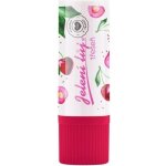 Regina Třešeň jelení lůj mini 2,3 g – Hledejceny.cz