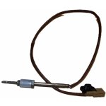 Snímač teploty výfukových plynů Renault Kangoo 2008-2021 1,5D 226405263R | Zboží Auto