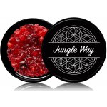 Jungle Way Hibiscus Frankincense Oud Bakhoor exkluzivní vykuřovací směs 20 g – Hledejceny.cz
