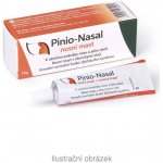 Rosen Pinio-Nasal nosní mast 10 g – Hledejceny.cz