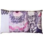 Numbero plus Polštář bankovka 5000 Kč 35x60 – Zboží Mobilmania