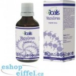 Joalis VasoDren arteriální systém 50 ml – Hledejceny.cz