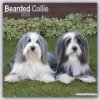Kalendář Bearded Collie 16-Monats 2024