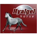 Silvita Hyalgel Horse jablko 5 l – Zboží Dáma