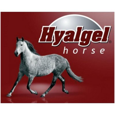 Silvita Hyalgel Horse jablko 5 l – Zboží Dáma