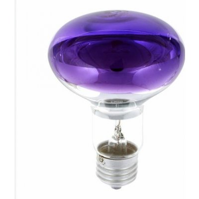 Osram 60W E27 R80 Reflektorová žárovka / bodovka Fialová – Hledejceny.cz