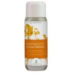 Finskasauna aroma do finské sauny ceylonské mango 250 ml – Hledejceny.cz