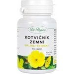 Dr. Popov Kotvičník zemní bylina + extrakt 60 kapslí – Hledejceny.cz