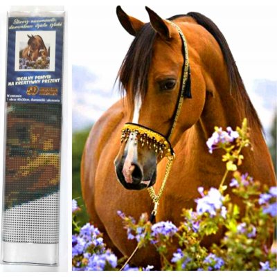 Norimpex Diamantové malování Koňská něha 30 x 40 cm – Zboží Mobilmania