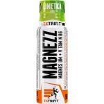 Extrifit Magnezz Shot! lime 90 ml – Hledejceny.cz