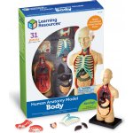 Learning Resources Anatomický model lidského těla – Zboží Mobilmania