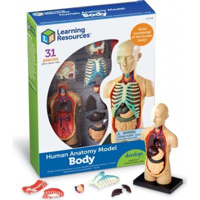 Learning Resources Anatomický model lidského těla – Zboží Mobilmania