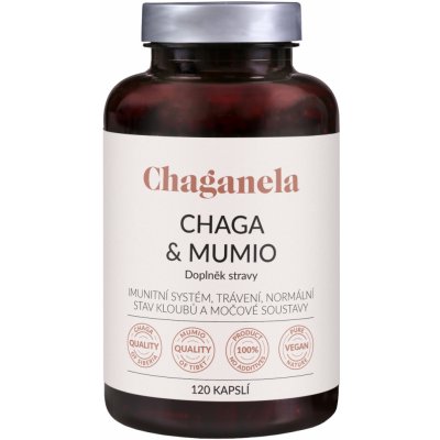 Chaganela Čaga a mumio 120 kapslí – Hledejceny.cz