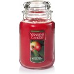 Yankee Candle Macintosh 623 g – Hledejceny.cz