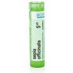 SEPIA OFFICINALIS POR 30CH GRA 4G – Hledejceny.cz