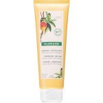 Klorane Nourishing Dry Hair Leave-in Cream 125 ml – Hledejceny.cz