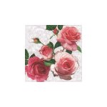 Růžové růže, ornament 33x33 UBF002349