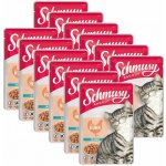 Schmusy Ragout kuřecí v omáčce 12 x 100 g – Hledejceny.cz