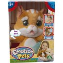 Giochi Emotion Pets kotě