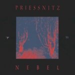 Priessnitz - Nebel CD – Sleviste.cz