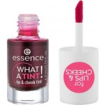 Essence Rtěnka What A Tint 01 Kiss From A Rose 4,9 ml – Sleviste.cz