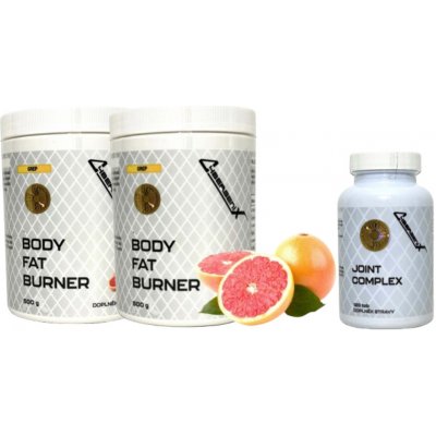Cybergenix BODY FAT BURNER 500 g – Zboží Dáma